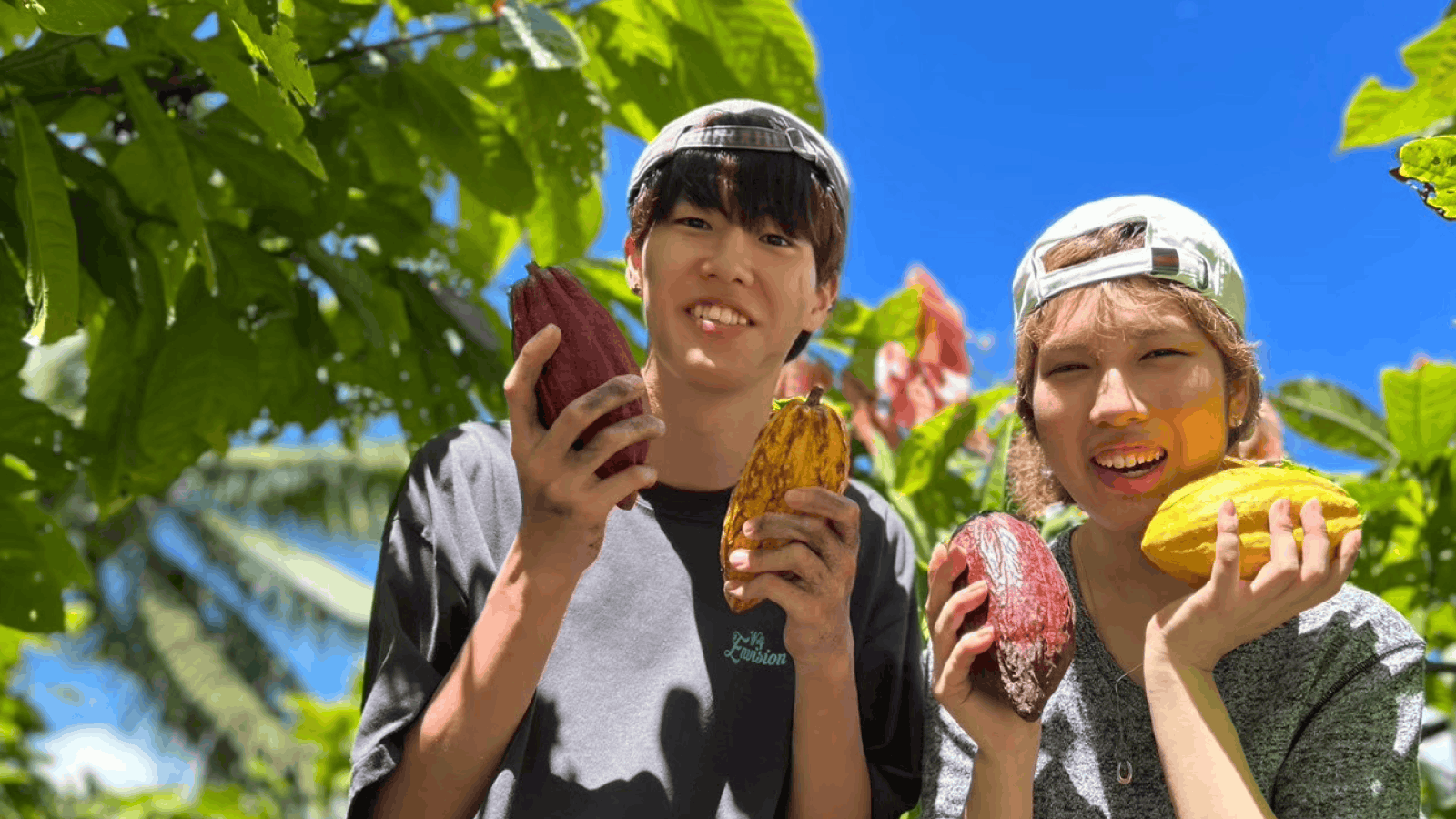 セブ　語学研修 /ネグロス　植林体験
